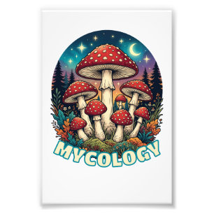 Foto Arte de Cogumelo da Floresta Encantada