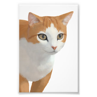 Foto Arte de Gato Ginger Adorável