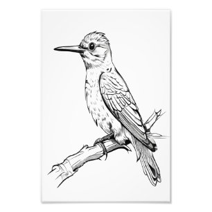 Foto Arte de Linha de Ilustração de Pássaros Minimalist