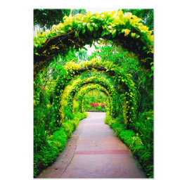 Foto Arte de parede de arco de jardim
