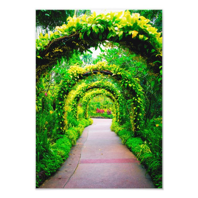 Foto Arte de parede de arco de jardim (Frente)