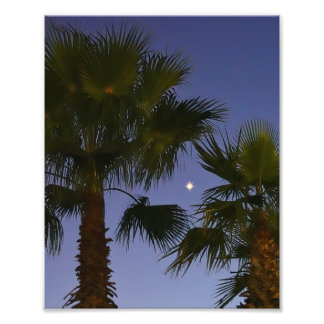 Foto Arte de Parede de Palmeira Tropical Crepúsculo Cos