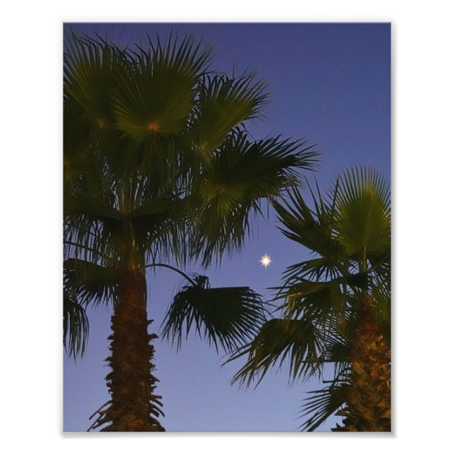 Foto Arte de Parede de Palmeira Tropical Crepúsculo Cos (Frente)