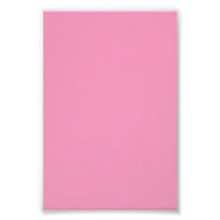 Arte de Parede em Seda Rosa Coral Luxo