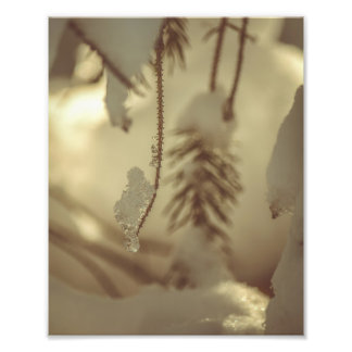 Foto Arte fina da paisagem de madeira de gelo e neve de