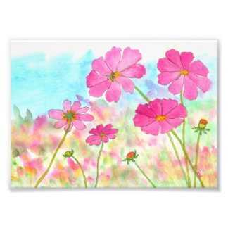 Foto Arte Floral Abstrata Cosmos Rosa Flores Silvestres