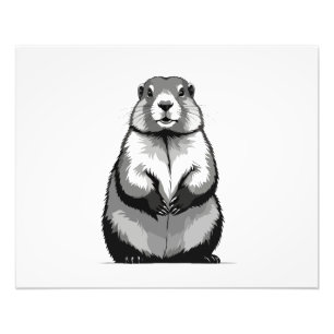 Foto Arte Gráfica Marmot Vetor Retrato Espírito Animal