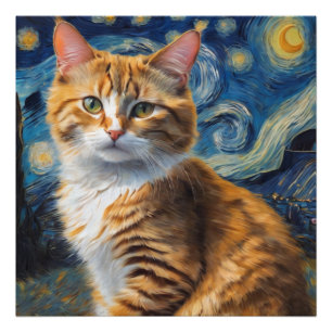 Foto Arte noturna estrelada com um gato