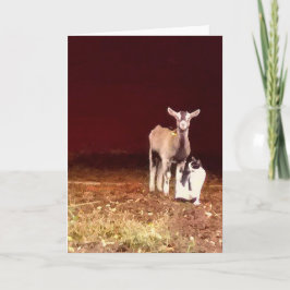 Foto artística de um Capô e seu Cartão Saudável de