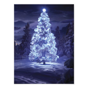 Foto Árvore de Natal