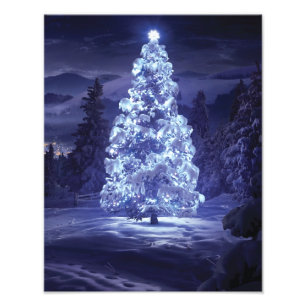 Foto Árvore de Natal