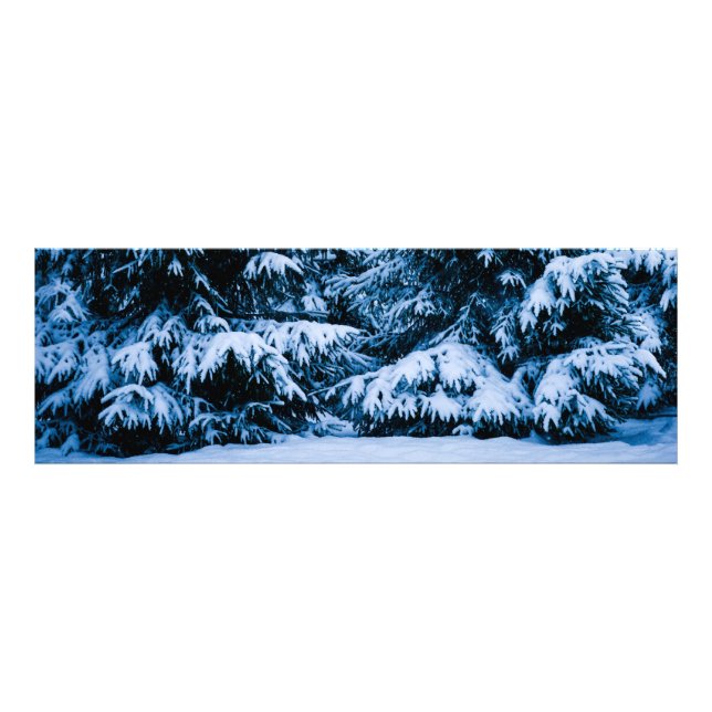 Foto Árvore de Natal da Floresta de inverno (Frente)