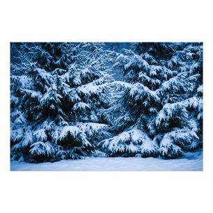 Foto Árvore de Natal da Floresta de inverno