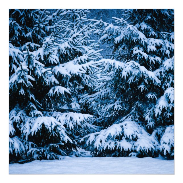 Foto Árvore de Natal da Floresta de Inverno (Frente)