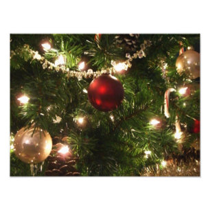 Foto Árvore de Natal I Feriado Verde Bonito e Vermelho