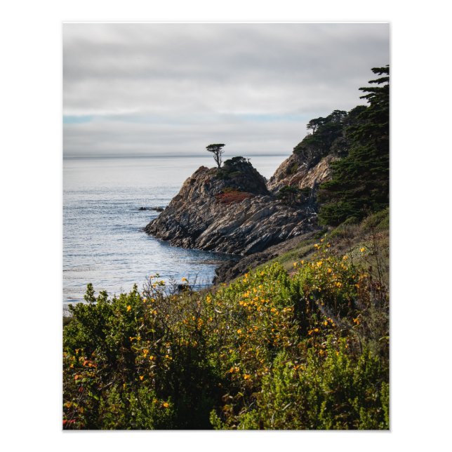 Foto Árvore de solitários em Lobos de Ponto (Frente)