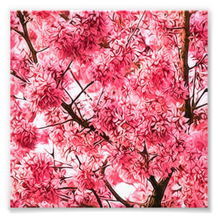 Foto Árvore japonesa da flor de cerejeira (2013)