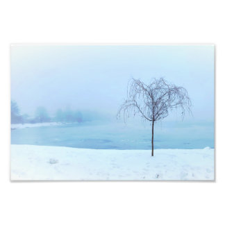 Foto Árvore junto a um Lago Congelado