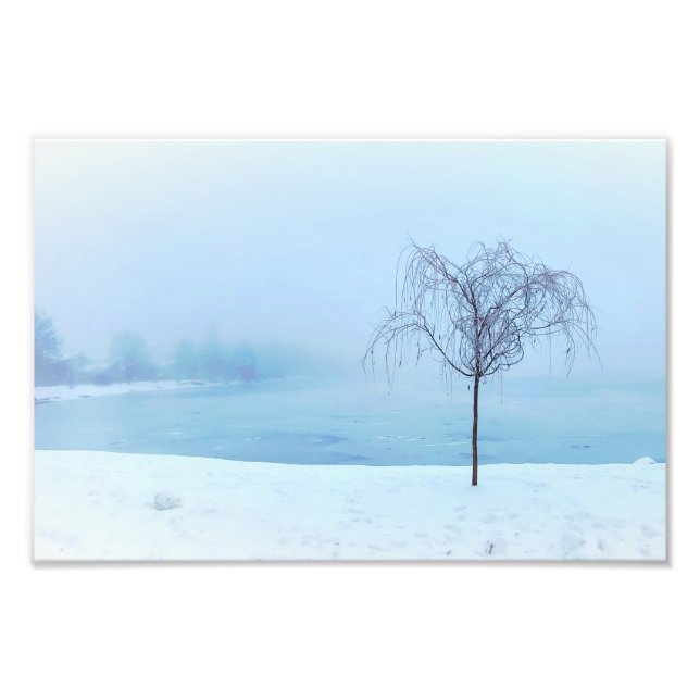 Foto Árvore junto a um Lago Congelado (Frente)