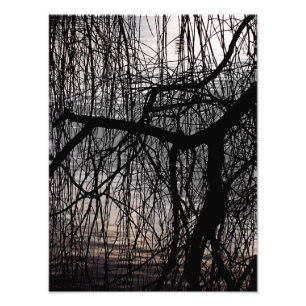 FOTO ÁRVORE WINTER WILLOW