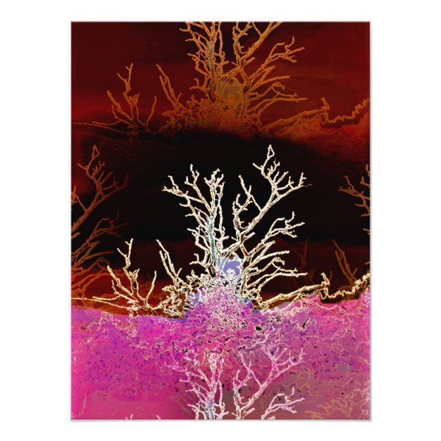 FOTO ÁRVORES (Frente)