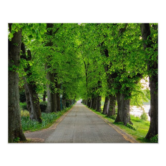 Foto Árvores (Frente)