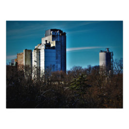 Foto "Árvores: Apenas Tempo Limitado"