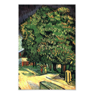 Foto Árvores de castanha em Flor - Gogh