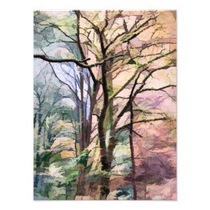 FOTO ÁRVORES DO OUTONO