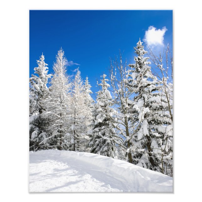 Foto Árvores nevadas sob um céu azul claro impressão fo (Frente)
