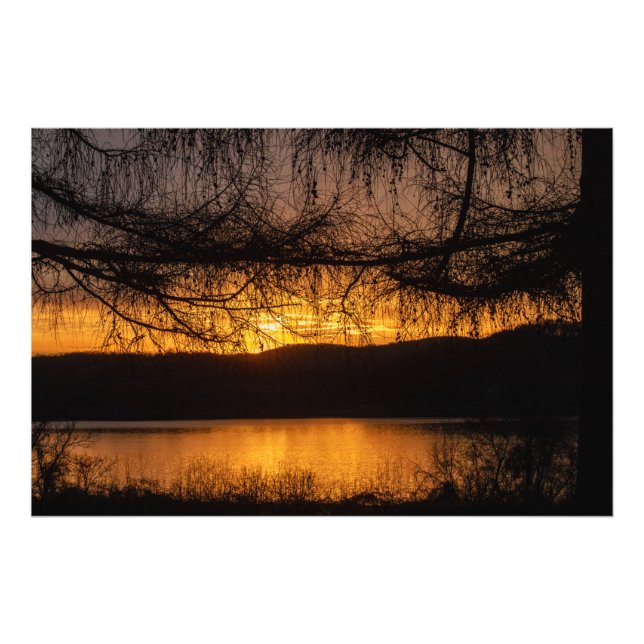 Foto Árvores Por Meio Do Sol (Frente)