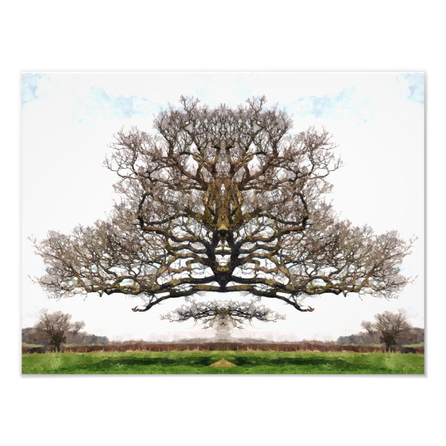 Foto ÁRVORES primavera (Frente)