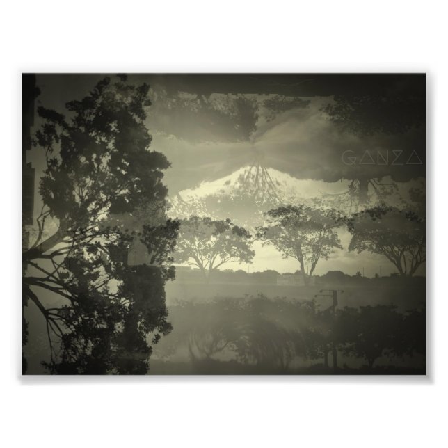 Foto Árvores que vejo. (Frente)