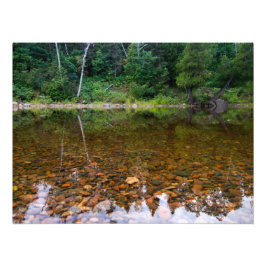 Foto Árvores Sobre Pedras Rochosas