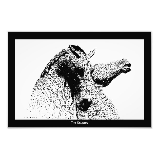 Foto As algas em silhueta, Falkirk, Escócia (Frente)