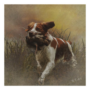 Foto As bebidas cerâmicas de Azulejo Brittany spaniel