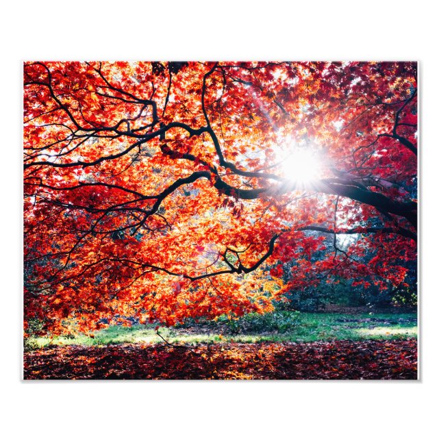 FOTO AS CORES MÁGICAS (Frente)