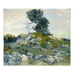 Foto As Rochas Vincent van Gogh