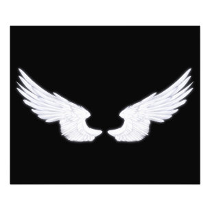 Foto Asas Anjos Brancos de Queda