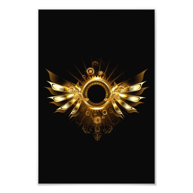 Foto Asas steampunk (Frente)