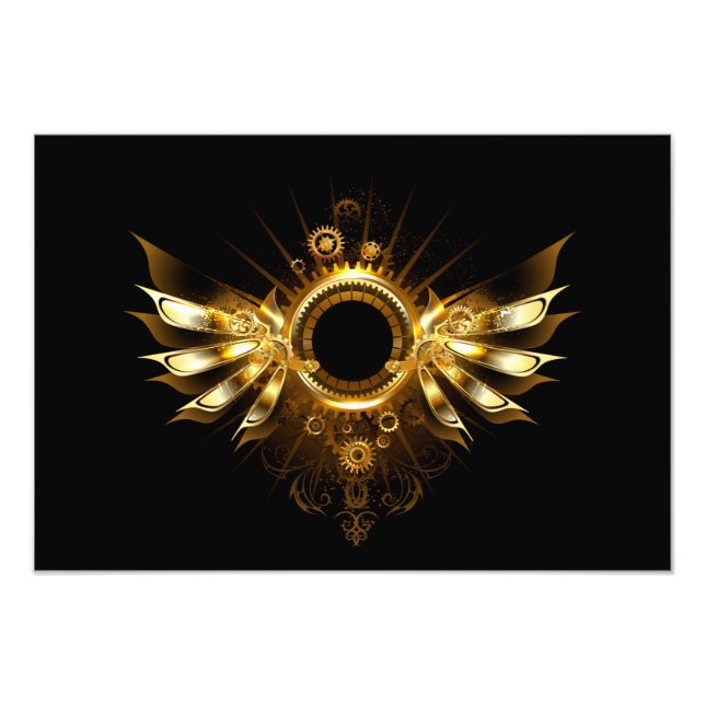 Foto Asas steampunk (Frente)
