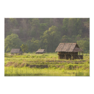 Foto Ásia, Tailândia, Mae Hong Son, Cabanas de arroz no