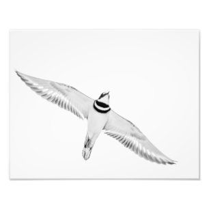 Foto Assassinos em alta velocidade