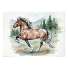 Astrid Tolting aquarela islandesa