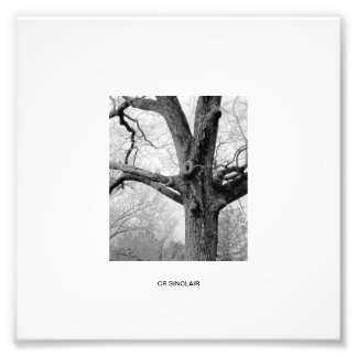 Foto ATUAÇÃO DE WINTER por CR SINCLAIR
