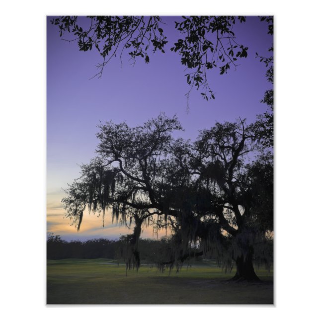 Foto Audubon Park Sunset (Frente)