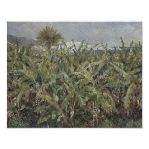 Foto Auguste Renoir - campo de árvores de banana