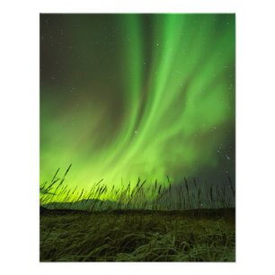 Foto Aurora das pastagem