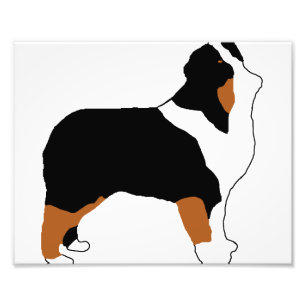 Foto aussie black tri silo