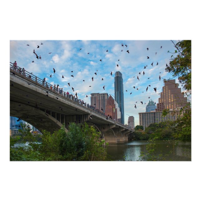 Foto Austin, Texas Bats (Frente)